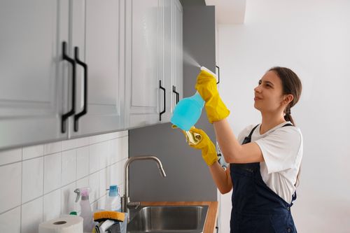 Domestic Cleaning
